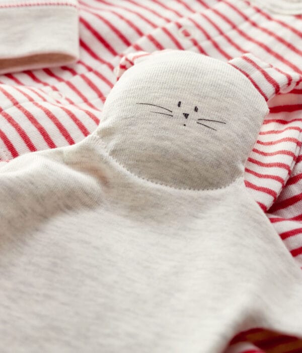 A01PW01F1 Z2 A01PW01F1 Z2