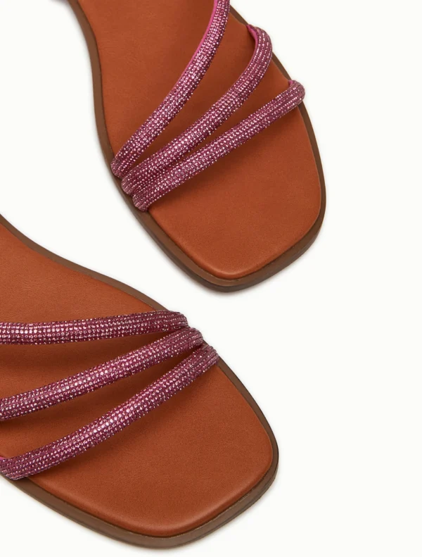 1521054502001-b-edict 1521054502001-b-edict